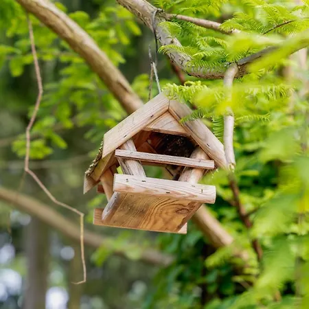 Dom Black&white * Kołczewo