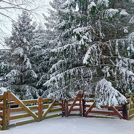 Ferienhaus Dom Black&white