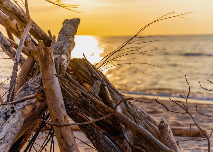 Casa vacanze Dom Black&white