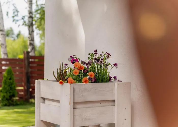 Dom Black&white * Kolczewo