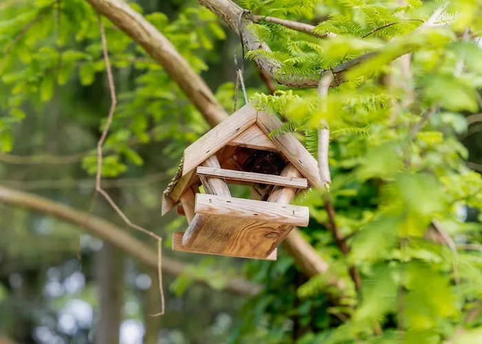 Dom Black&white * Kolczewo