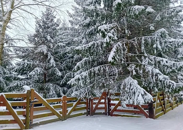 Casa vacanze Dom Black&white